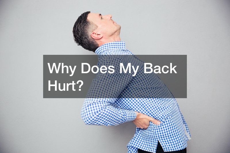 why-does-my-back-hurt-free-health-videos