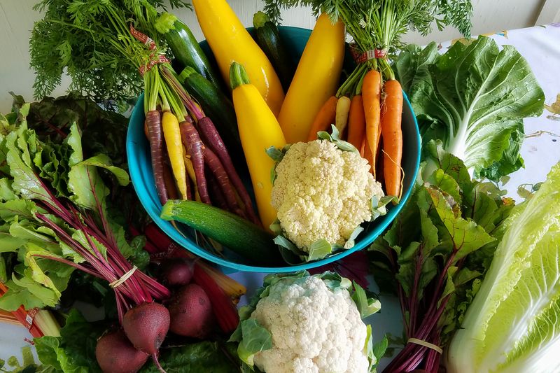 a lot of vegetables